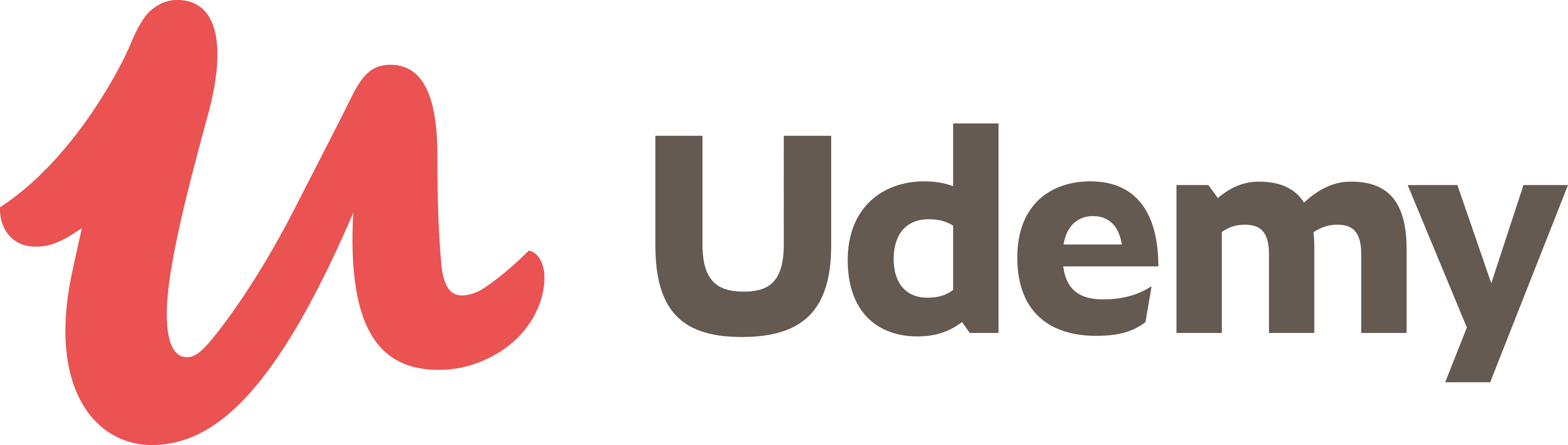 Udemy Platform